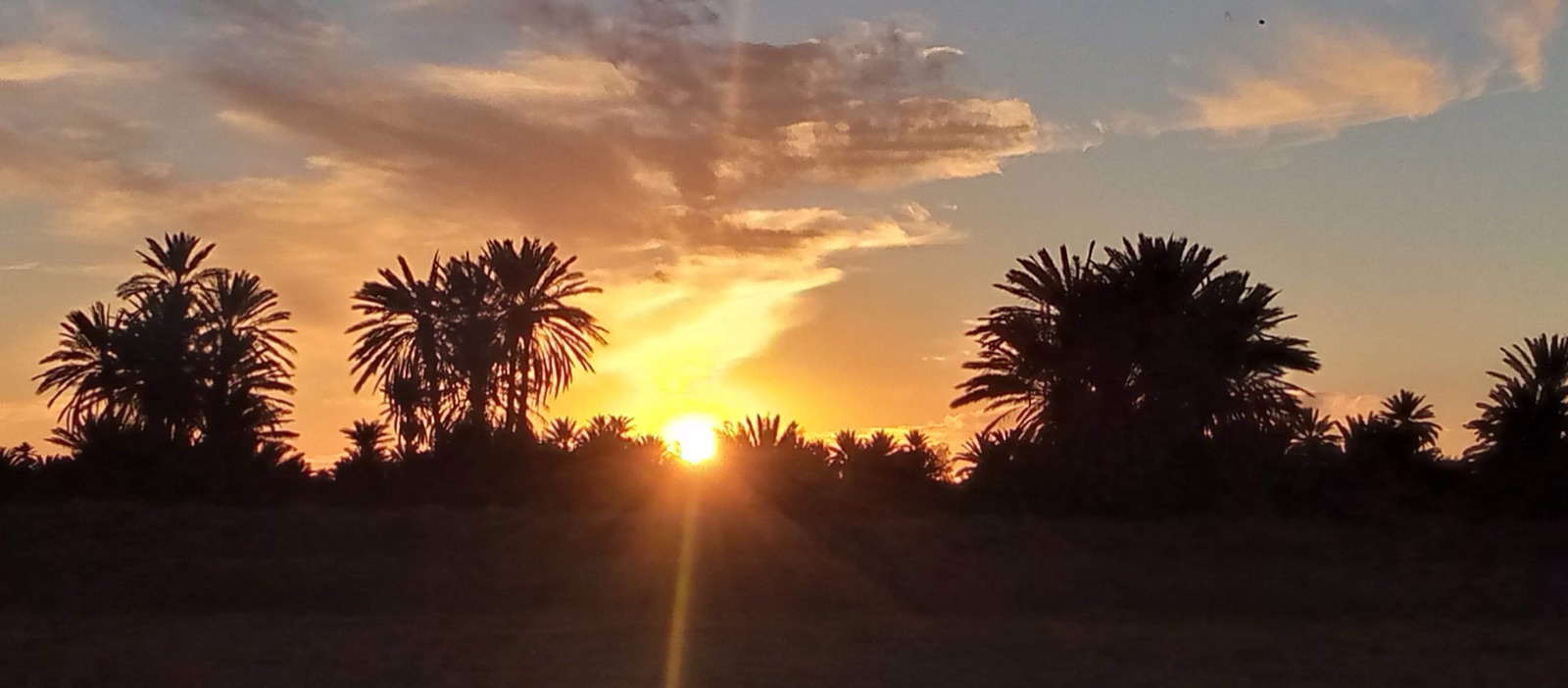 Crépuscule sur la palmeraie du Tafilalet